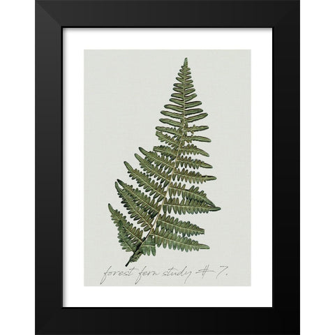 Fern Studies II Black Modern Wood Framed Art Print by Robinson, Carol