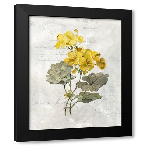 Canary Linen Geranium Black Modern Wood Framed Art Print with Double Matting by Robinson, Carol