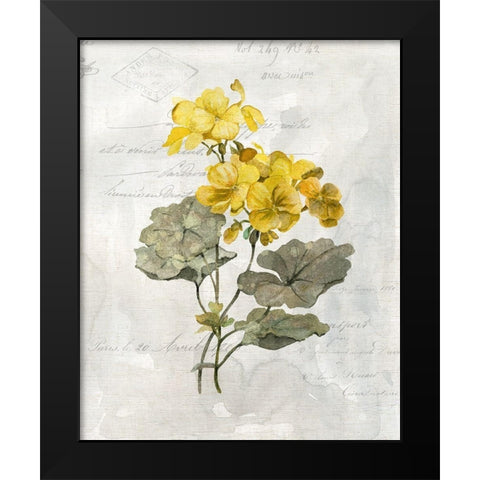 Canary Linen Geranium Black Modern Wood Framed Art Print by Robinson, Carol