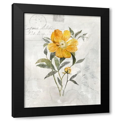 Canary Linen Peony Black Modern Wood Framed Art Print by Robinson, Carol