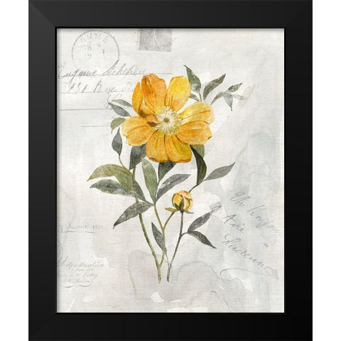 Canary Linen Peony Black Modern Wood Framed Art Print by Robinson, Carol
