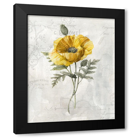 Canaray Linen Poppy Black Modern Wood Framed Art Print with Double Matting by Robinson, Carol