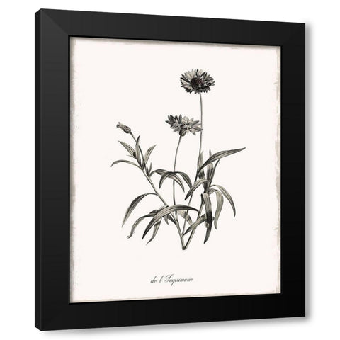 Sketchbook Imperial Black Modern Wood Framed Art Print with Double Matting by Donovan, Kelly