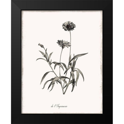 Sketchbook Imperial Black Modern Wood Framed Art Print by Donovan, Kelly