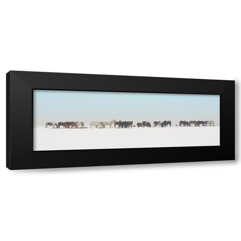 Big Sky Country Black Modern Wood Framed Art Print by Delimont, Danita