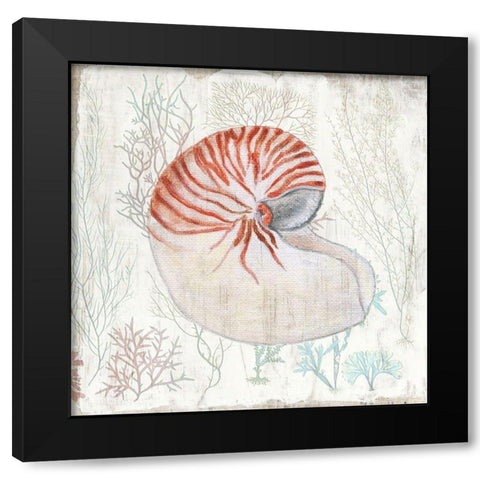 Coral and Shell I Black Modern Wood Framed Art Print with Double Matting by Tava Studios