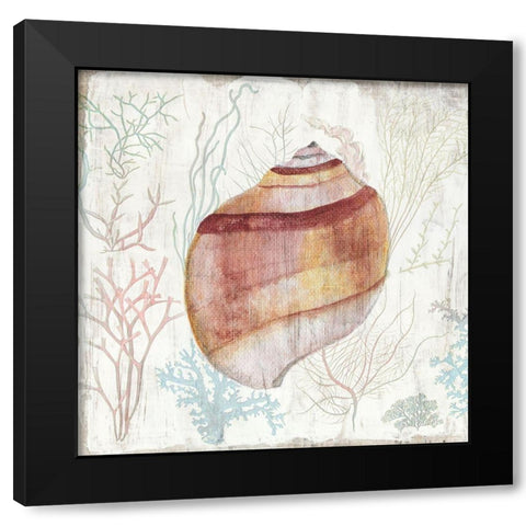 Coral and Shell II Black Modern Wood Framed Art Print by Tava Studios