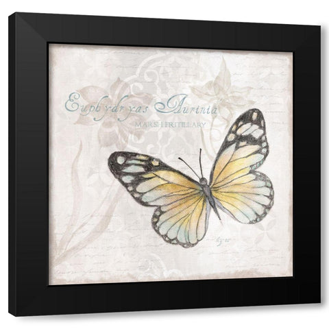 Postcard Butterfly II Black Modern Wood Framed Art Print with Double Matting by Tava Studios