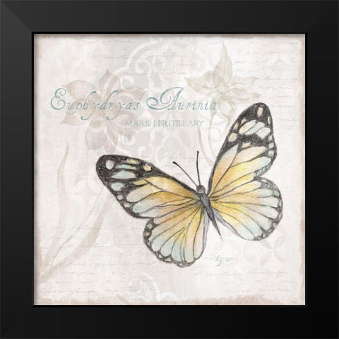 Postcard Butterfly II Black Modern Wood Framed Art Print by Tava Studios