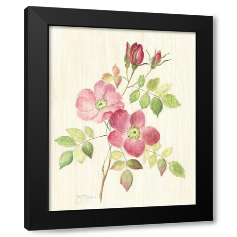 Dusty Rose I Black Modern Wood Framed Art Print with Double Matting by Tava Studios
