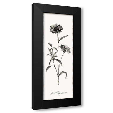 Slender Imperial Black Modern Wood Framed Art Print by Donovan, Kelly