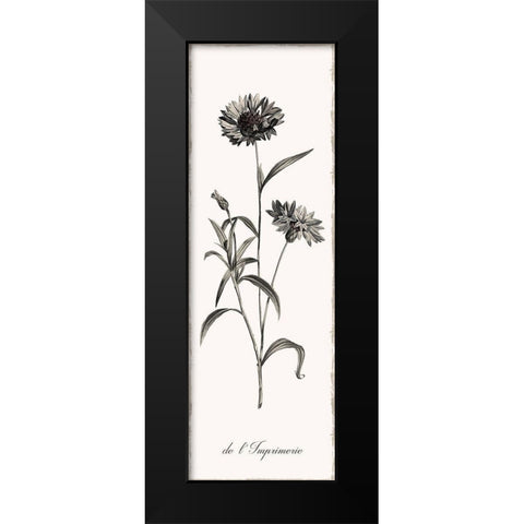 Slender Imperial Black Modern Wood Framed Art Print by Donovan, Kelly
