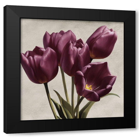 Royal Tulips Black Modern Wood Framed Art Print with Double Matting by Levashov, Igor