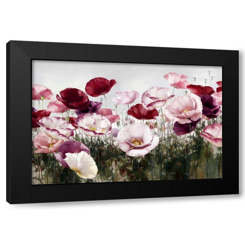 Royal Poppy Black Modern Wood Framed Art Print with Double Matting by Levashov, Igor