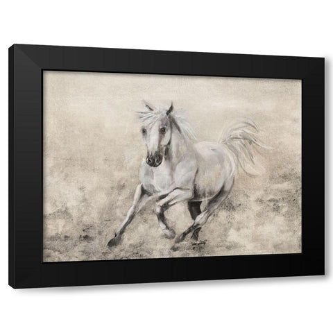 Majestic Stallion II Black Modern Wood Framed Art Print by Brooks, Donna