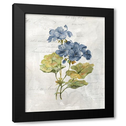 Blue Linen Geranium Black Modern Wood Framed Art Print with Double Matting by Robinson, Carol