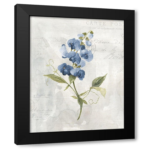 Blue Linen Sweet Black Modern Wood Framed Art Print with Double Matting by Robinson, Carol