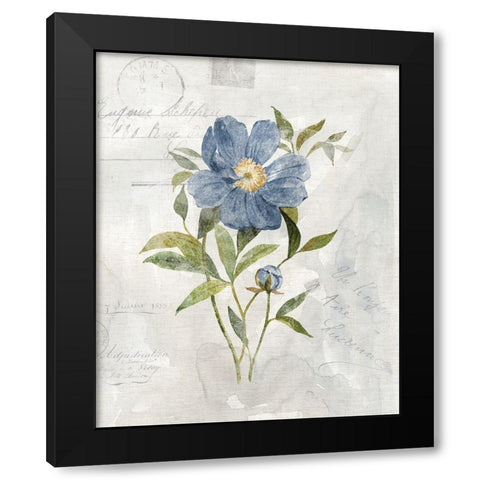 Blue Linen Peony Black Modern Wood Framed Art Print with Double Matting by Robinson, Carol