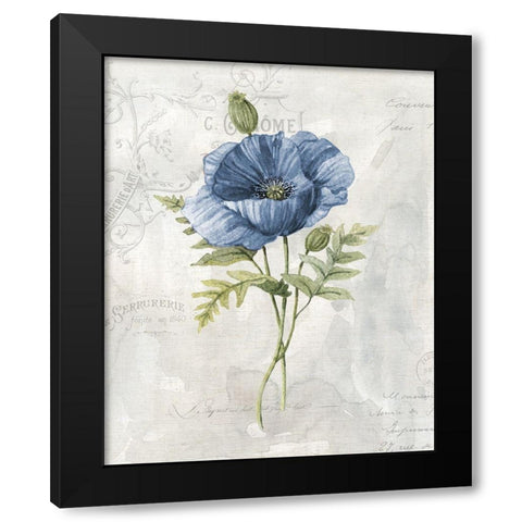 Blue Linen Poppy Black Modern Wood Framed Art Print with Double Matting by Robinson, Carol