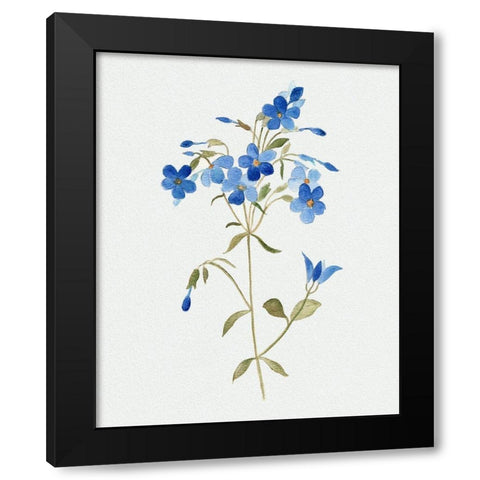 Blue Blossom Botanical II Black Modern Wood Framed Art Print with Double Matting by Tava Studios