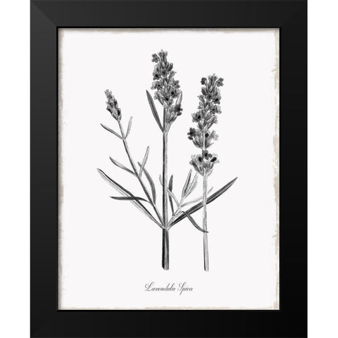 Simply Lavender Black Modern Wood Framed Art Print by Donovan, Kelly