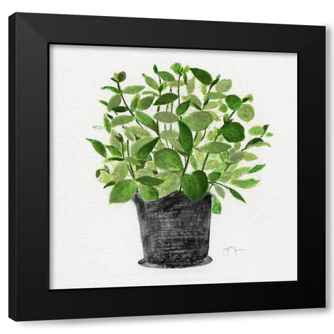 Herb Garden I Black Modern Wood Framed Art Print by Tava Studios