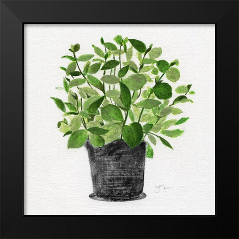 Herb Garden I Black Modern Wood Framed Art Print by Tava Studios