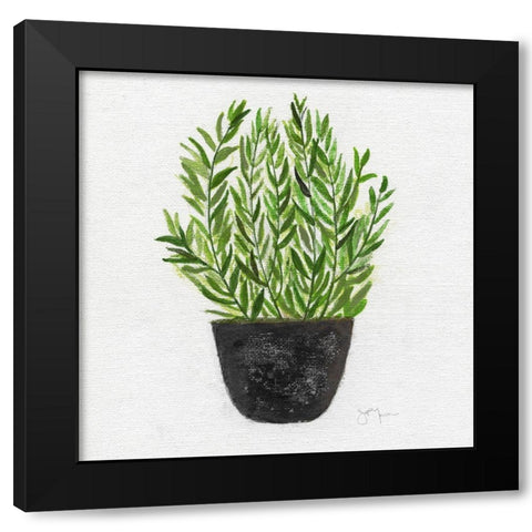 Herb Garden II Black Modern Wood Framed Art Print with Double Matting by Tava Studios
