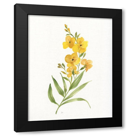Ochre Botanical II Black Modern Wood Framed Art Print with Double Matting by Nan
