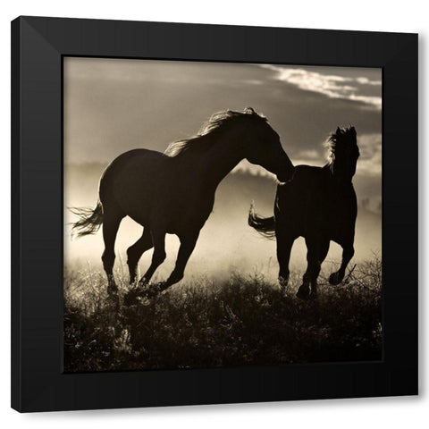 Ponderosa Sunset Black Modern Wood Framed Art Print by Delimont, Danita