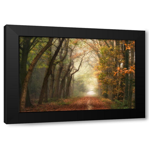 Path of Dreams Black Modern Wood Framed Art Print with Double Matting by Van de Goor, Lars