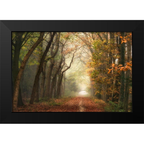 Path of Dreams Black Modern Wood Framed Art Print by Van de Goor, Lars