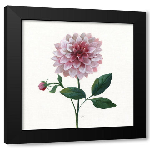 Simple Botanical IV Black Modern Wood Framed Art Print with Double Matting by Nan