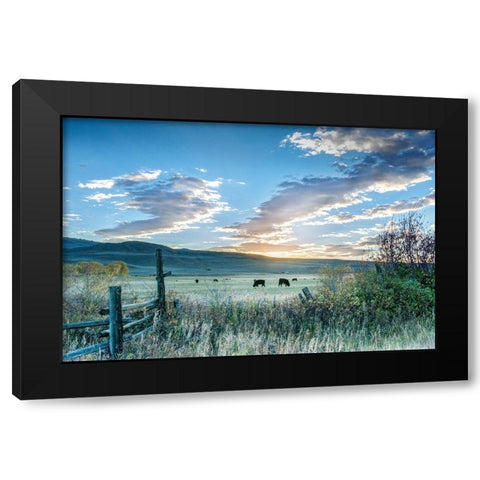 Ranch Sunrise Black Modern Wood Framed Art Print by Delimont, Danita