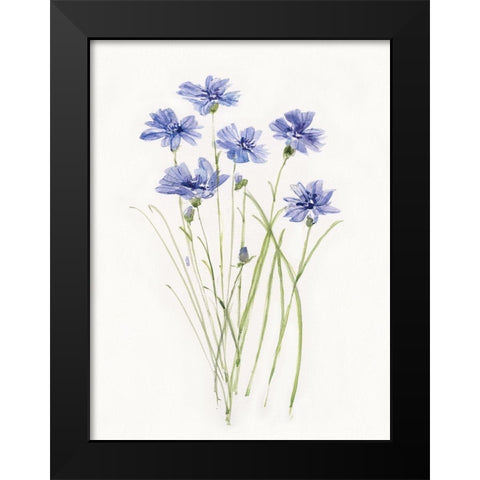 Dainty Botanical Cornflower Black Modern Wood Framed Art Print by Swatland, Sally