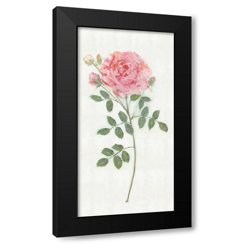 Single Stem II Black Modern Wood Framed Art Print with Double Matting by Swatland, Sally