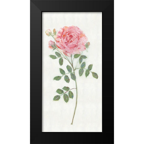 Single Stem II Black Modern Wood Framed Art Print by Swatland, Sally
