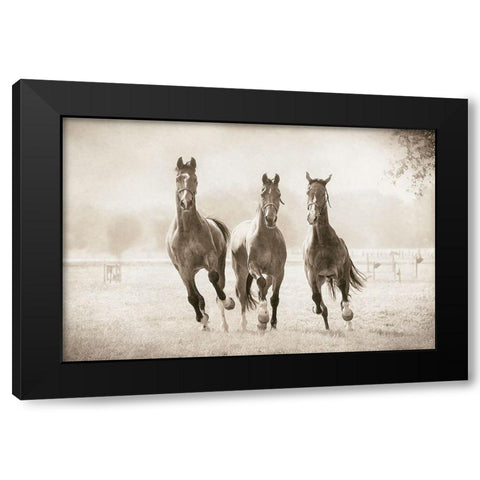 The Young Ones Black Modern Wood Framed Art Print by Van de Goor, Lars