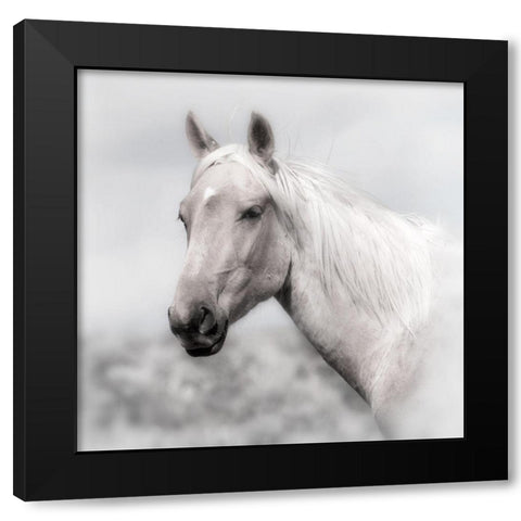 Wild and Free Black Modern Wood Framed Art Print by Archer, Ken