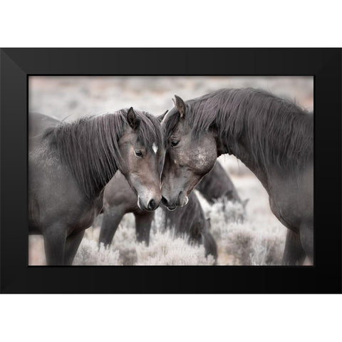 Wild Horses Black Modern Wood Framed Art Print by Ditto, Larry