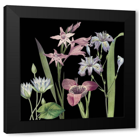 Dusty Plum Botanical II Black Modern Wood Framed Art Print with Double Matting by Jill, Susan