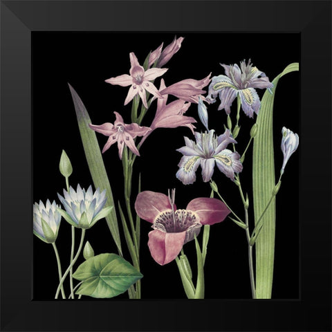 Dusty Plum Botanical II Black Modern Wood Framed Art Print by Jill, Susan