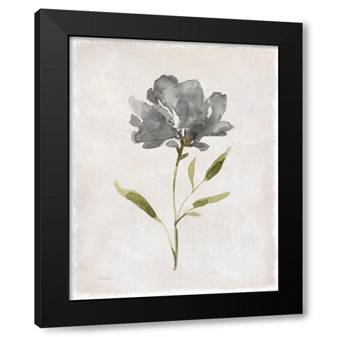 Botanical Beauty II Black Modern Wood Framed Art Print with Double Matting by Robinson, Carol