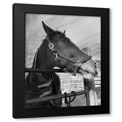 Bordeaux Black Modern Wood Framed Art Print by Jill, Susan