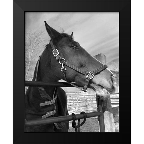 Bordeaux Black Modern Wood Framed Art Print by Jill, Susan