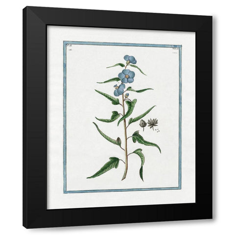 Shabby Chic Botanical I Black Modern Wood Framed Art Print with Double Matting by Donovan, Kelly