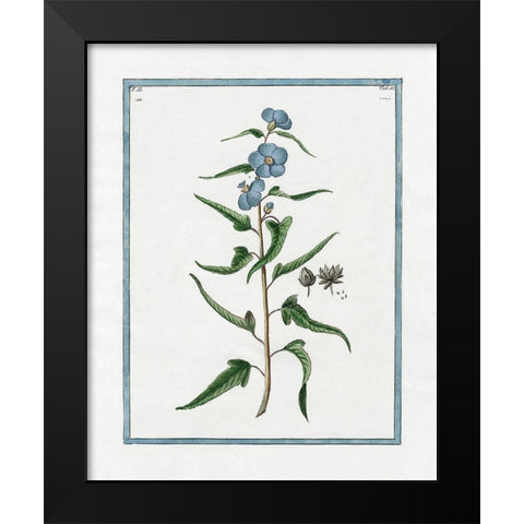Shabby Chic Botanical I Black Modern Wood Framed Art Print by Donovan, Kelly