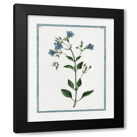 Shabby Chic Botanical II Black Modern Wood Framed Art Print with Double Matting by Donovan, Kelly