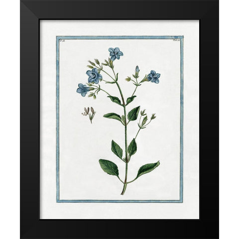 Shabby Chic Botanical II Black Modern Wood Framed Art Print by Donovan, Kelly