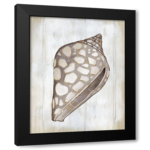 Ocean Cone I Black Modern Wood Framed Art Print with Double Matting by Robinson, Carol